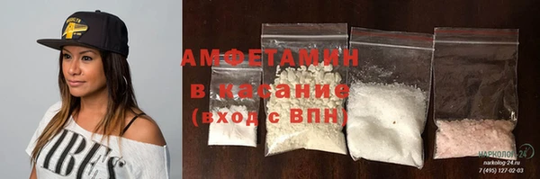 гидра Аркадак