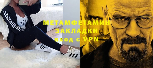 гидра Аркадак